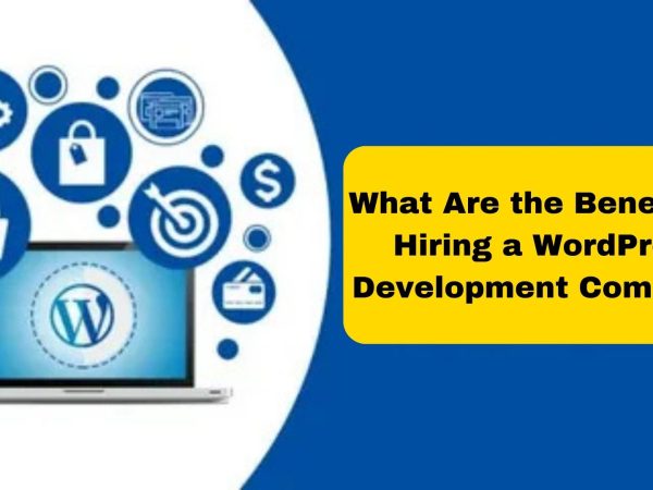 What Are the Benefits of Hiring a WordPress Development Company