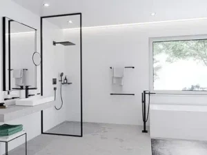 Shower Partition